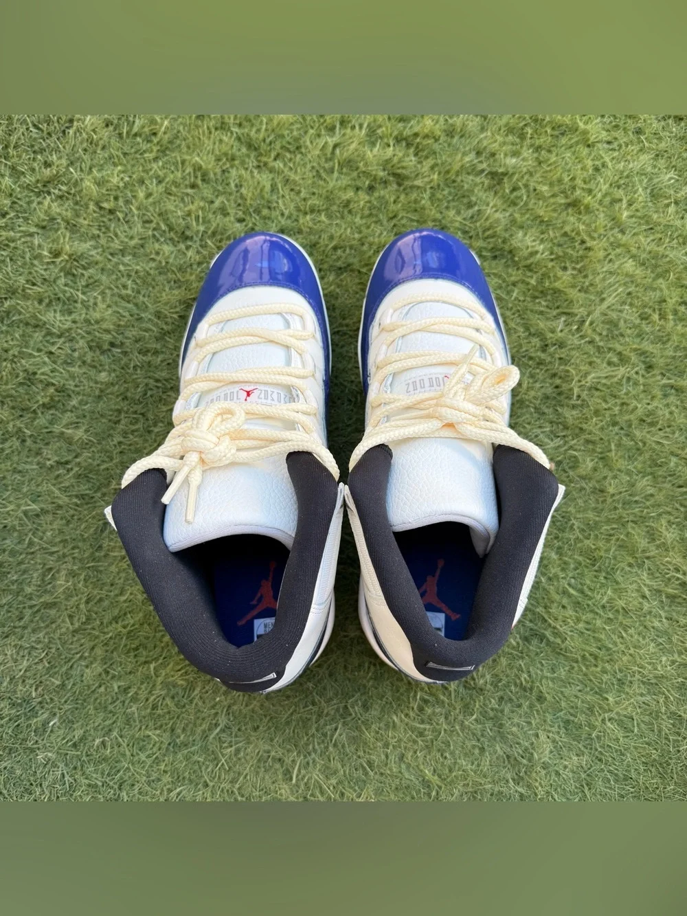 Jordan 11 Retro MCS